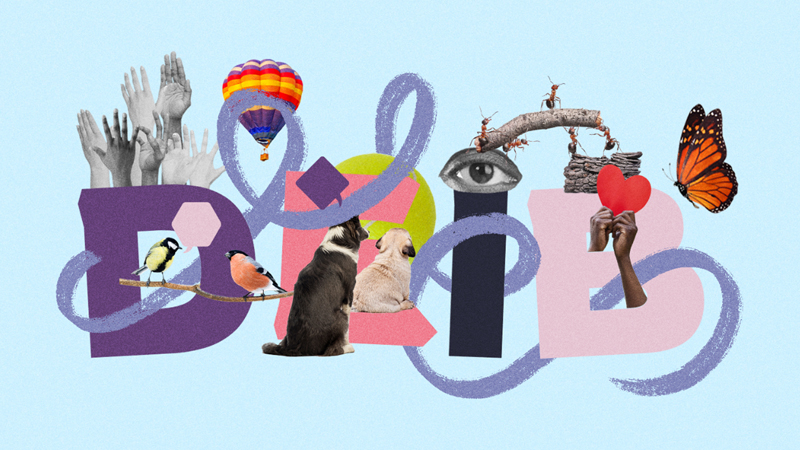 Diversity, Equity, Inclusion, and Belonging at Work